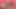 Kız Öğrenci Yurdu Babes Noelle ve Trillium Dan ile Üçlü Sekste!