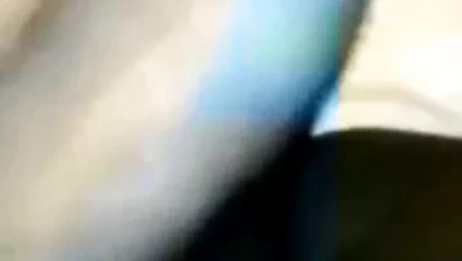 Çikolata anal ve kedi oyun