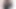 Sophia çalı fotoğraf çekimi
