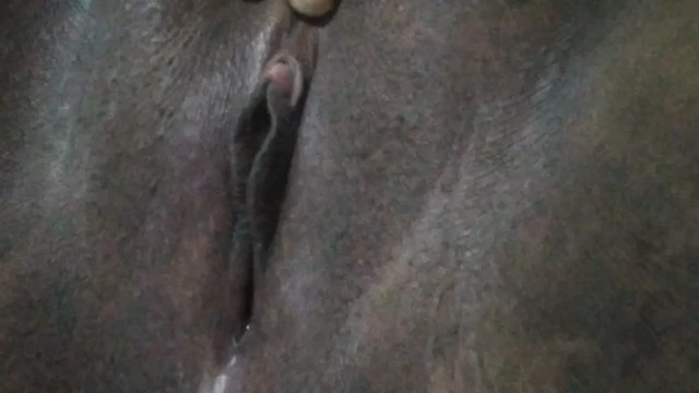 Maximum Pleasure in My Pussy - An Intimate Moment