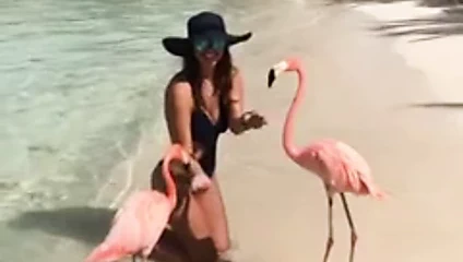 Meme kahrolası bayan