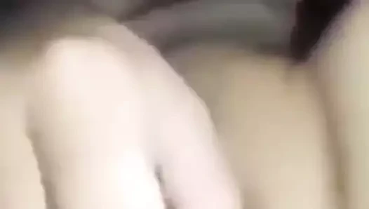 Bulgariq
