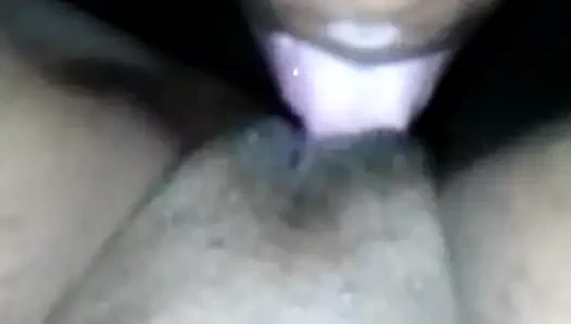 Memphis tn kedi yeme