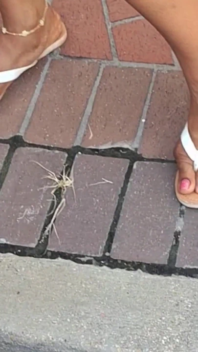 Üvey annemin seyahat erkek arkadaşının büyük sulu etli ayakları var