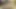 Niky mastürbasyon yapıyor