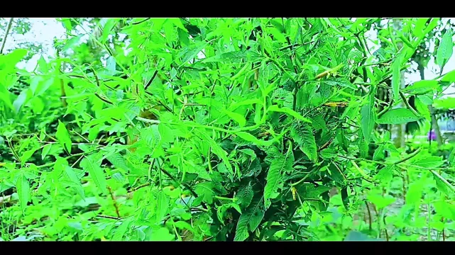 Bangla Choti Golpo. Bangla Hot Choti Golpo