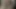 Göt kahrolası düz oğlan vızıltı