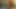 Seksi sürtük yarak emiyor ve amını yediriyor