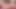 Deneyimli sarışın halı müncher genç kız arkadaşına yapay penis kullanma tekniğini gösteriyor