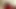 sakallı düz haydut vuruş onun büyük kıllı horoz ve boşalan