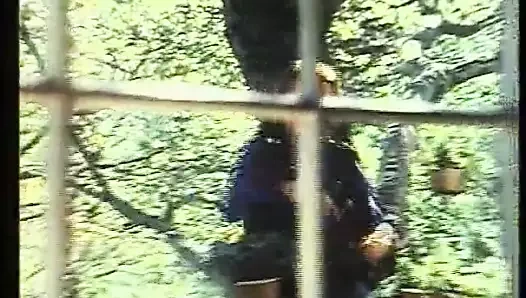 Cheryl hansson: nicole black ile kapak kızı (1981)