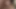 Küçük memeli ev hanımı Jamie Lynn Skye oyuncu seçmelerine çıkıyor