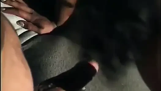 Mükemmel siyah vücutlu amcık yalama amcık sikişi
