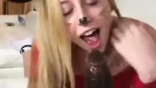 Kitty berbat bir büyük siyah horoz