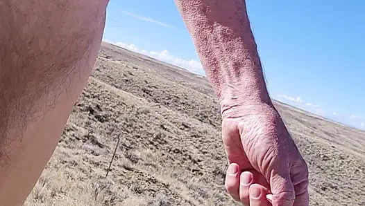 Desert Morning Down the Trail