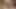 Emilia clarke göğüsleri ve kıçını küvetten çıkarırken gösteriyor