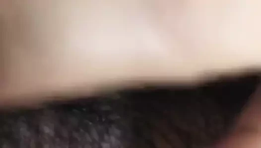 Malaysian kız arkadaş bakire kedi