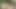 Lucy Thai anal seks ve çifte penetrasyon içeren açık havada üçlü grup seks fotoğraf çekimine katılıyor