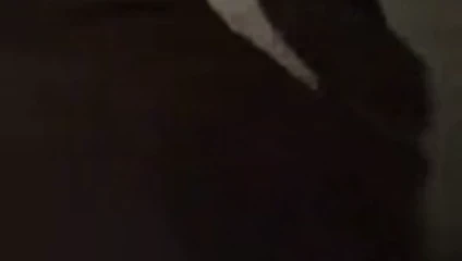 Büyük ganimet Latin