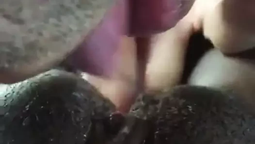 yeme abanoz 18yo KEDİ