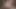 Sulu bbw luxxxy lux becerdin