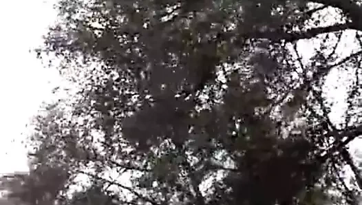 Büyük götlü yürüyüş 2