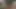 Hizmetçinin eteğinin altında