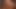 Daniella will es NUR Anal