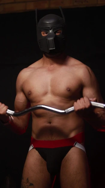 Тренировка щенка АСМР