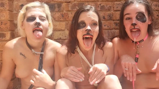 Üç köpek yavrusu sürtük göğüsleri dışarıda salya akıtıyor