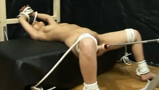 Aşırı nesneler zevk makinesi