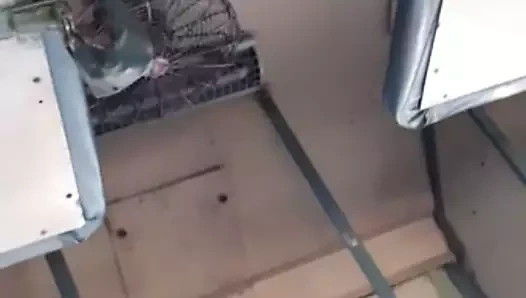 Tren büyük götünü gösteriyor