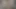 Kabarık kedi genç doğal ile güzel genç kız