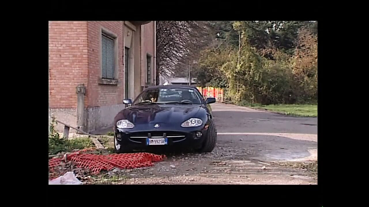 Büyük domuz! (tam film)