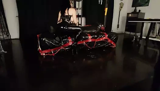 horoz oturma ve çanta içinde tokat