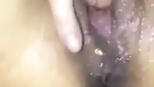 Fin portland anapanap