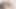 Alison ve britney yeni titreşen oyuncak ayılarını kullanıyor