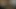 Hatun tangalarını yırtıyor ve amını genişletiyor
