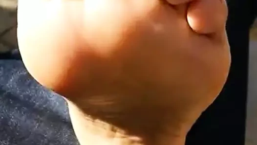 Latin yumuşak etli tabanlar