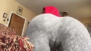 Yüzünde amcık - cbp