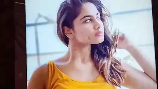 Tamil serial aktris shivani narayanan boşalmak haraç