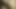 Anal Creampie itibaren bbc