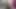 Lizzy yum 2023 sadece anal #7 post op orgazm kedi anal mastürbasyon alay orgazm ve banyo