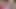 Sevimli femboy anal mastürbasyon ile boşalma