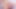 Trap Femboy Kolombiyalı Twerk Külotlu Yuvarlak Popo Ve Sulu Ayaklar