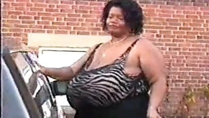 vahşi fatura norma carwasch