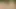 Travesti koca gezmeye çıkıyor, yürüyor ve topuklu ve çoraplı mastürbasyon yapıyor.