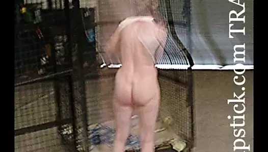 Freak me özel kapak seksi eşek vivian