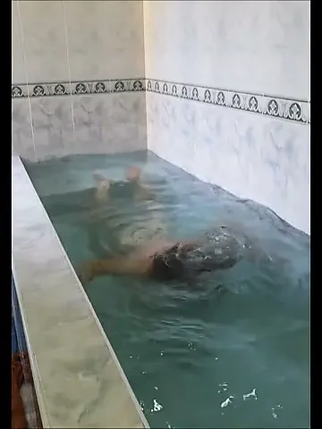 Bandar sissy esnekliğiyle çıldırıyor, sertçe sikilme hayali kuruyor