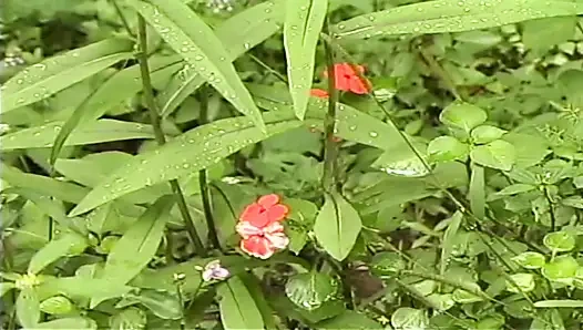 Küçük anal krem şişiyor 03 bölüm 5 - kremsi arzu